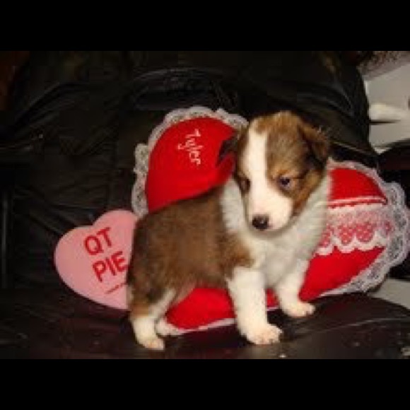 Meet your Posher, Kim - Picture 12 of 14